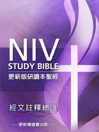 經文註釋總匯──更新版研讀本聖經(簡體)
